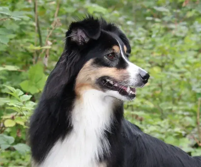 Profilbild