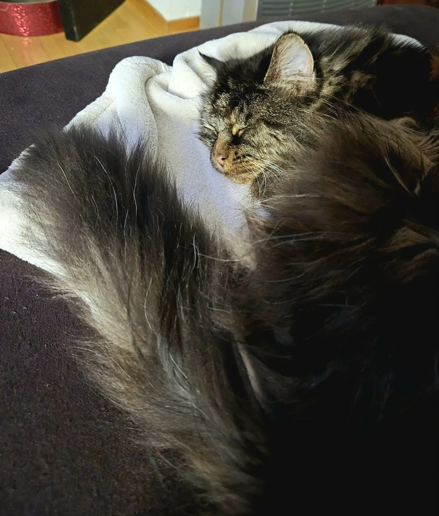 Profilbild