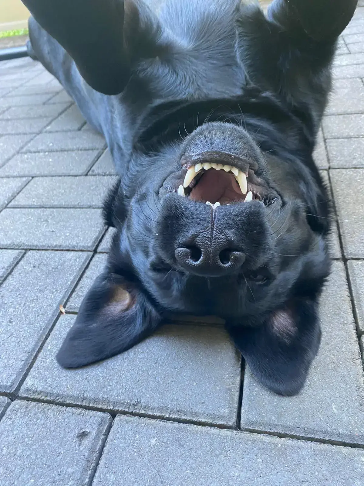 Profilbild