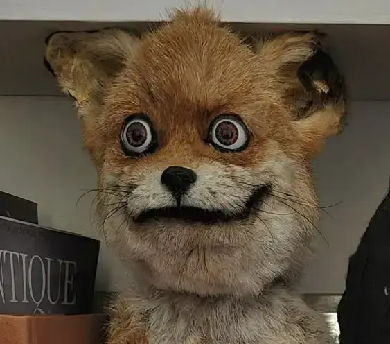 Profilbild