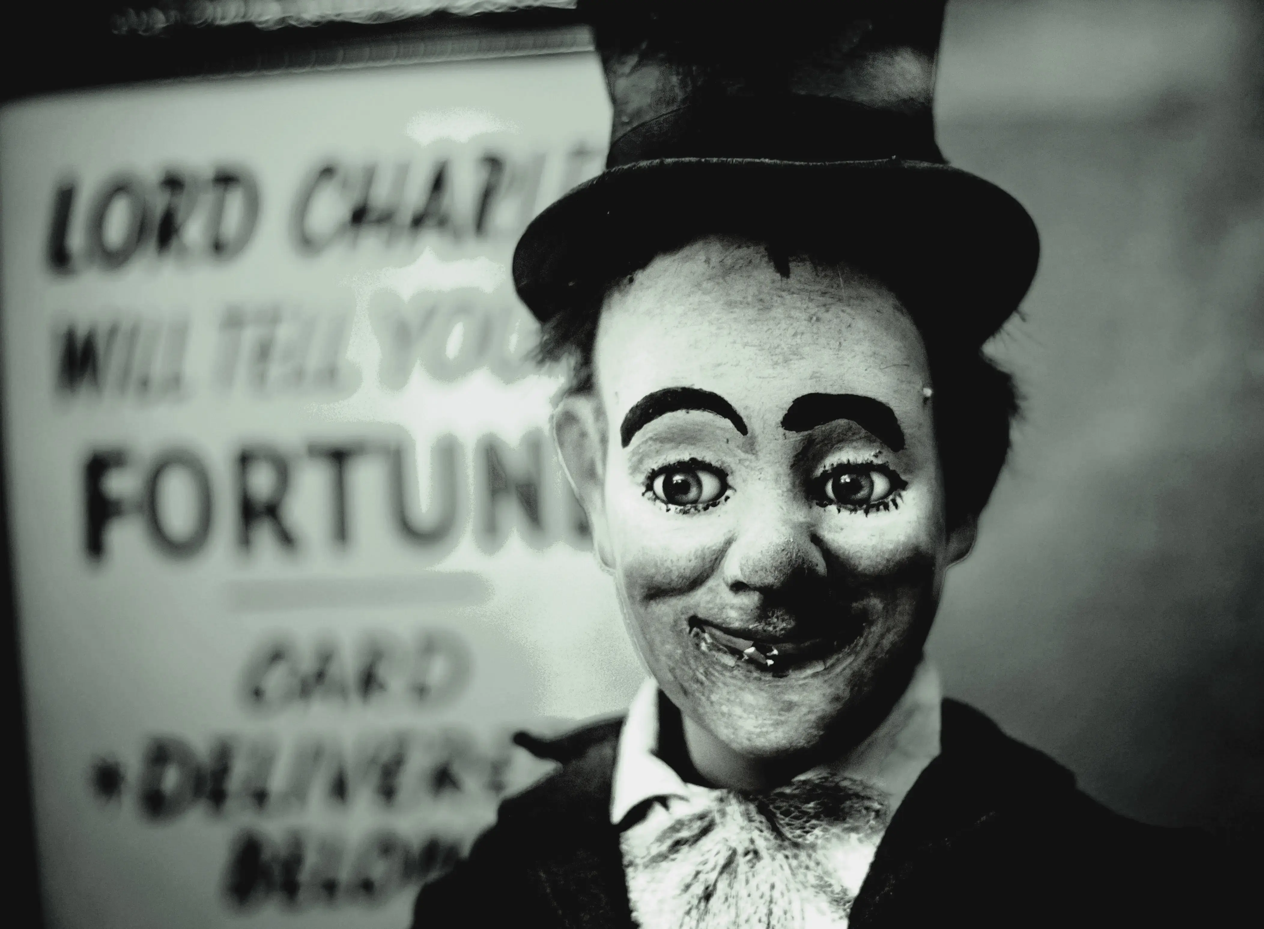 Profilbild