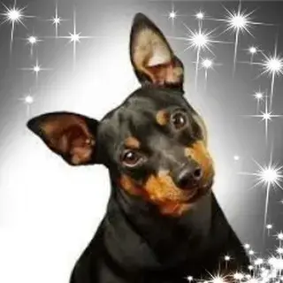 Profilbild